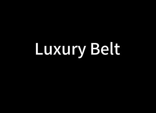 LV Belt B1
